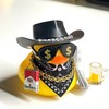 Patito Vaquero(need to assemble)-cowboy rubber duck: cool cartoon car Duck