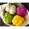 NIKA SEEDS - Seeds Vegetable Cauliflower Cabbage Mix - 200