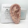 Ear Acupuncture Model - 17cm Ear Zone Model, Ear Massage