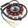 GY6 Stator Ignition Stator Magneto Coil 12 Pole Direct Current