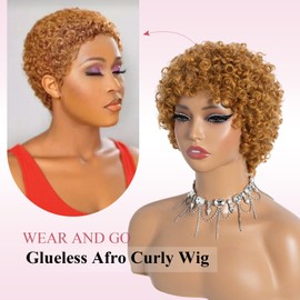 Style Icon Short Afro Curly Hair Wig for Black Women Human Hair Pixie Cut Afro Curl Wig Full and Fluffy Natural Looking Glueless Wear to Go Gold Color (S144)