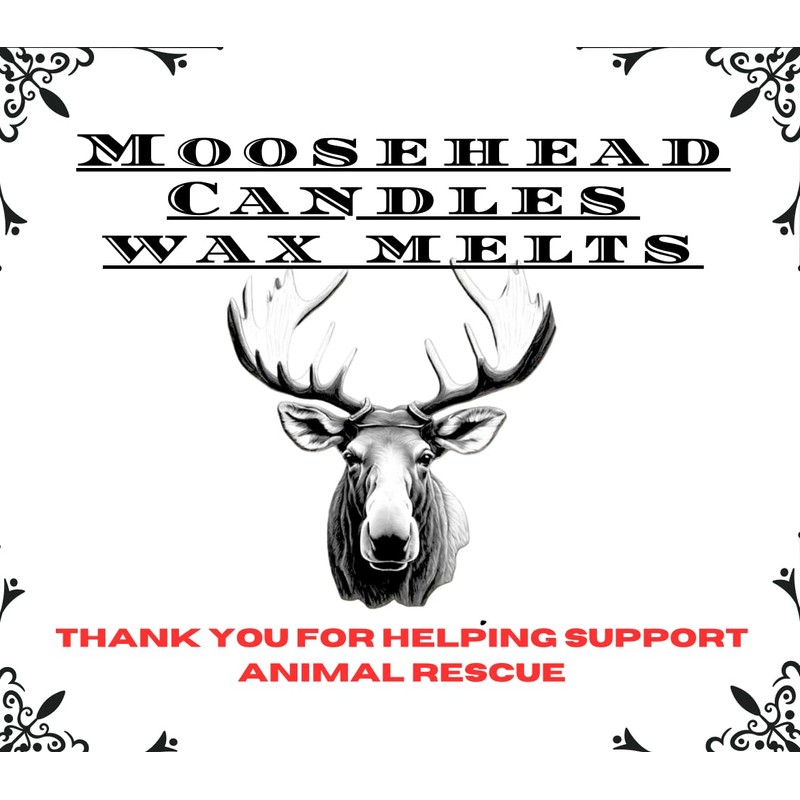 Fall scented wax melts (4 pack, Sugar Cookies)