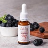 Alp Nutrition Alp Iron Drop 30ml x 3 bottles (Iron/Folic