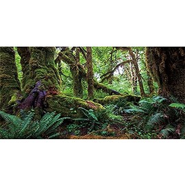 AWERT 30x18 inches Tropical Forest Terrarium Background Green Huge Tree Reptile Habitat Background Rainforest Aquarium Background Durable Polyester Background