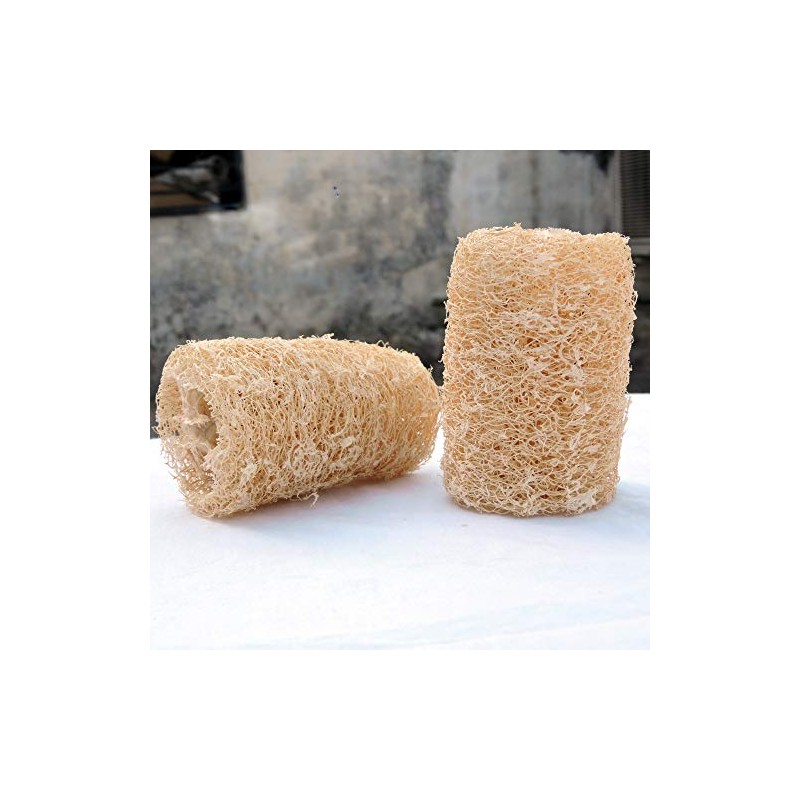 HealthGoodsIn - Esponja de baño natural de lufa orgánica, juego