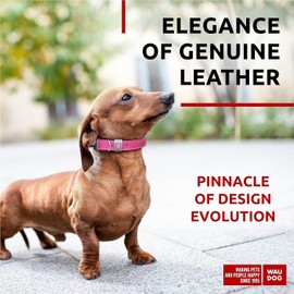 WAUDOG Long Lasting Leather Dog Collar for Large Dogs, Medium & Small Dogs - Adjustable Classic Puppy Collars for Large Breed Dogs - Boy & Girl Dog Collars with Durable Buckle, D-Ring & QR Dog Tag