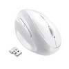 Sanwa 2.4G Wireless Left Handed Mouse, Ergonomic Left Hand Vertical