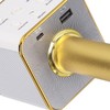 Wireless Microphone System Bluetooth Home Rechargeable Handheld Portable KTV Karaoke