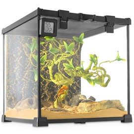 NEPTONION Mini Reptile Glass Terrarium Vivarium 12'' x 12'' x 12'' Full View Tank Small Amphibians Glass Habitat Cage with Feeding Slot & Box Lock Buckle