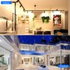 Energetic 4 Pack PAR20 LED Bulbs 50W Equivalent 5W Dimmable,