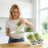 2 Pack Sprouting Lids for Wide Mouth Mason Jars, Reusable