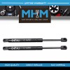 BOXI Qty(2) Rear Trunk Lift Supports Struts for Ford Thunderbird