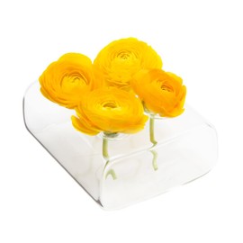 CHIVE ‘Hudson 2 Flute’ Flower Vase — Beautiful Small 4-Hole Multi-Chambered Clear Glass Bud Vase — Perfect Flower Vases for Centerpieces, Wedding Decorations and Living Room Decor