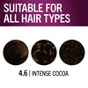 Schwarzkopf Keratin Color Permanent Hair Color, 4.6 INTENSE COCOA, 1