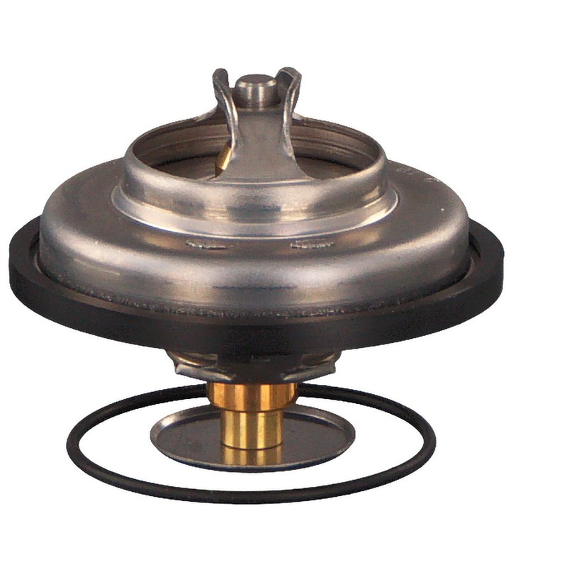 febi bilstein 09324 Thermostat with seal ring, pack of one