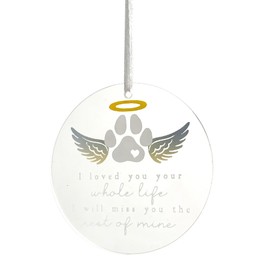 ZAYIO Dog Memorial Gift for Home, Outdoor or Garden Decoration, Pet Memorial Plaques for Loss of Dog or Cat, Pet Bereavement Sympathy Gift Keepsake, Clear Acrylic Heart Paw Print with Angel Wings