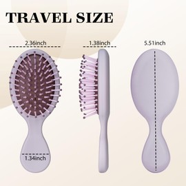 Bituemly 4Pcs Mini Hair Brush, Travel Detangling Brush for Girls Boys Kids Women Men, Pocket Small Hairbrush for Thick Curly Thin Long Short Wet or Dry Hair No Tangle
