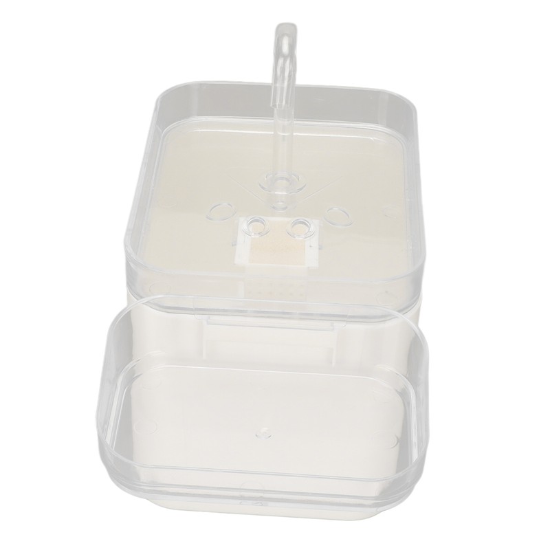 Pet Water Fountain Quiet Automatic Circulating Pet Water Dispenser with