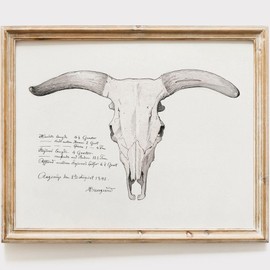 Skull of a Cow Vintage Sketch - 8x10 | Home Decor | Room Decor | Vintage Wall Art | Aesthetic Room Decor | Farmhouse Wall Decor | Bathroom Wall Art | Living Room Wall Decor | Rustic Wall Decor