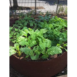 BEST ROOT POUCH (7 GALLON) (10 PACK). BEST FABRIC GARDEN AERATION POTS AND GROW BAGS FROM MAUI MIKE'S.SOFT POTS HAVE SEWN HANDLES FOR EASY MOVING . GROW BIGGER AND HEALTHIER TOMATOES,HERBS AND VEGGIES