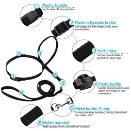 Dog Head Collar, Adjustable and Padded, No-Pull Training Tool for Dogs on Walks, Includes 1 Dog Leash and Free Training Guide, 3