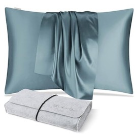 DISANGNI 100% Natural Mulberry Silk Pillow Case for Hair and Skin with Hidden Zipper 22 Momme Both Sides Real Silk Pillow Case (1pc Queen Size 20" x30", Blue Gray)
