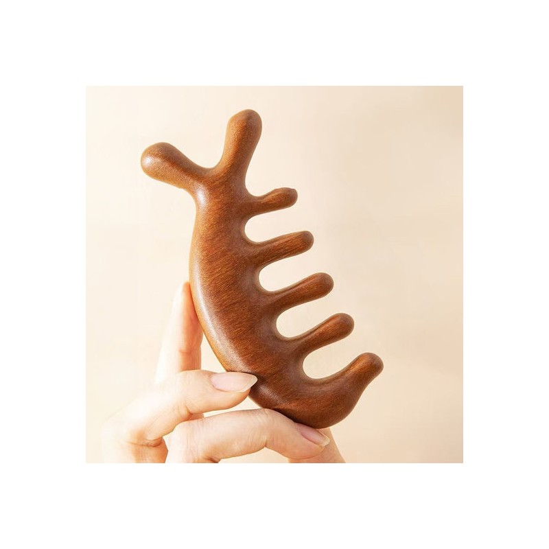 Moniz [1 + 1] Acupuncture & Lymph Node Circulation Massage