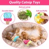 Justforjoyful 6Pcs Cat Catnip Toys Ice Cream Catnip Toys Kitten