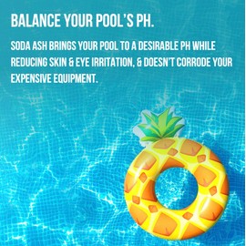 Dive Rite in Premium Soda Ash Designed as a PH Increaser for Pool and Washing Soda for Tie Dying and Everyday Usage - 15 Pound Value Bucket to Handle Multiple Uses.