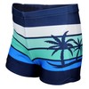 Aquarti Boys' Swimming Trunks Striped with Surfer Motif - 152