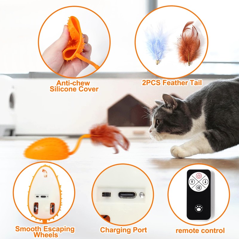 Mity rain Cat Interactive Toys for Indoor Cats, Remote Control