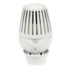 GIACOMINI Thermostatic Radiator Head with Liquid Sensor R460X001