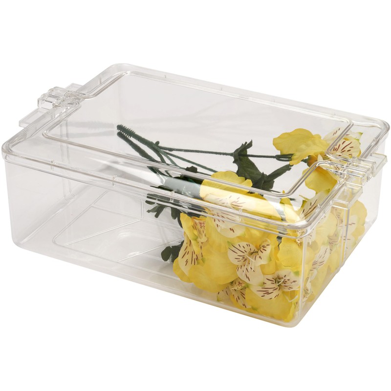 Pioneer Plastics 195C Clear Rectangular Plastic Container, 10.625" W x