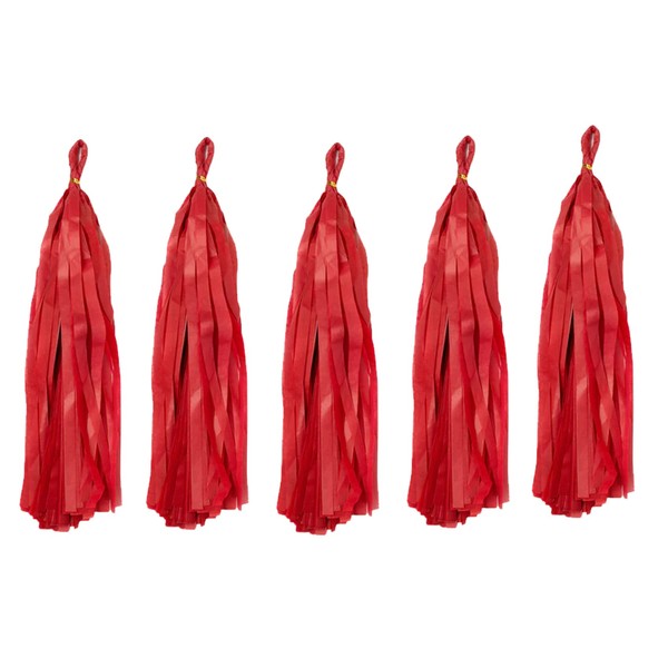 Tissue Paper Tassels Crepe Paper Streamers 25cm x 35cm Garland