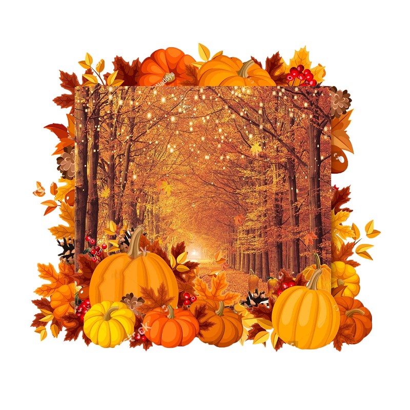 WR Autumn Maple Forest Backdrop Fall Harvest Maple Leaves Pumpkin