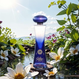 Hybrid & Company Women Golden Cashmere Eau De Parfum Natural Spray Vaporisateur 3.4 Fl Oz