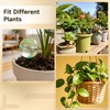 Toyosport 6 Pcs Self-Watering Globes, 17 oz Automatic Plant Watering