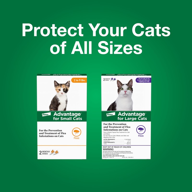 Advantage Topical Cat Flea Treatment and Prevention for Large Cats
