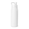 Simple Modern Water Bottle with Push Button Straw Lid |