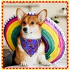 20 Pack Cinco De Mayo Mexico Dog Bandana Adjustable Triangle