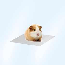 Small Pet Cooling Mat, Bite-Resistant Aluminum Cooling Pad for Rabbits Hamsters Guinea Pigs, Summer Ice Bed Small Animal Cool Mat, Safe Lightweight Design with Smooth Edges (12x8cm, count, 1)