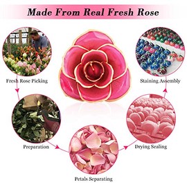 Rosas Reales de Regalo, Borde Chapado en Oro de 24 Quilates con Soporte para Rosas, clásico y Especial para Ella en Navidad, San Valentín, Día de la M