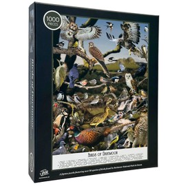 ‘Birds of Dartmoor’ 1000 piece jigsaw puzzles for adults | Birds jigsaw puzzle | Devon inspired jigsaws and puzzle games | Jam Contemporary Art Jigsaw Puzzles for Adults 1000 | Ideal bird lovers gift
