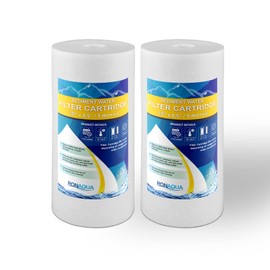 Big Sediment Replacement Water Filters 5 Micron 4.5”x 10" Cartridges WELL-MATCHED with RFC-BBSA, W15-PR, WFHD13001B, GXWH35F, GXWH30C, HF45-10BLBK10PR and AP817 (2 Pack, 10")