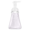 Dial Complete Foaming Antibacterial Hand Wash, Soothing White Tea, 7.5