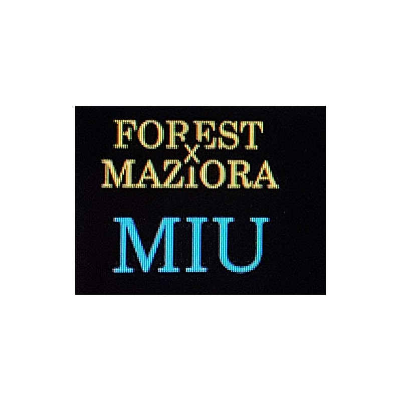 フォレスト(FOREST) ルアー マジョーラシリーズMIU 2.2g No.01 スプーン