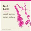 Bach Larch Remedy for Confidence 0.7 Fl Oz Doctor Developed