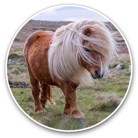 Vinyl Stickers (Set of 2) 10cm - Windswept Shetland Pony Horse Decals for Laptops,Tablets,Luggage,Scrap Booking,Fridges, 15993