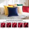 Encasa Christmas New Year VELVET Cushion Covers 2pc Set (60