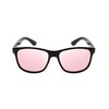 Calabria Noah Panto Pink Tint FL-41 Reading Glasses +4.00 Gloss